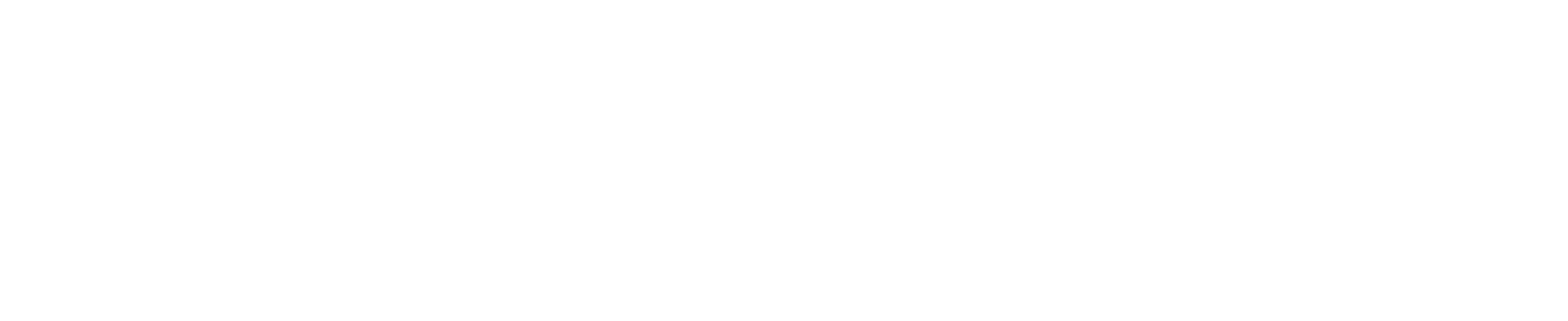 Doutor Paulo Castelo Branco